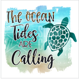 <span style="color: #0099CC;">Beach Dreams</span> Decals</span>